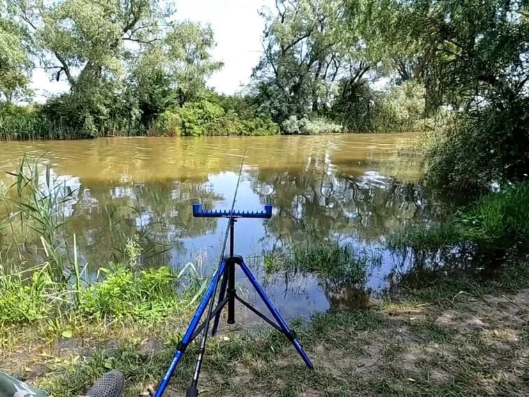 Дощі відступлять, але вода підніметься: експерт пояснив, коли краще вирушати на риболовлю